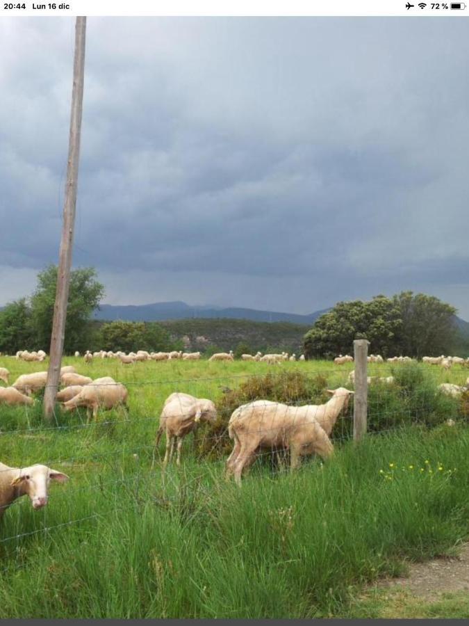 Vistas A La Montana En Un Pueblo Con Encanto. El Pueyo de Araguás Esterno foto