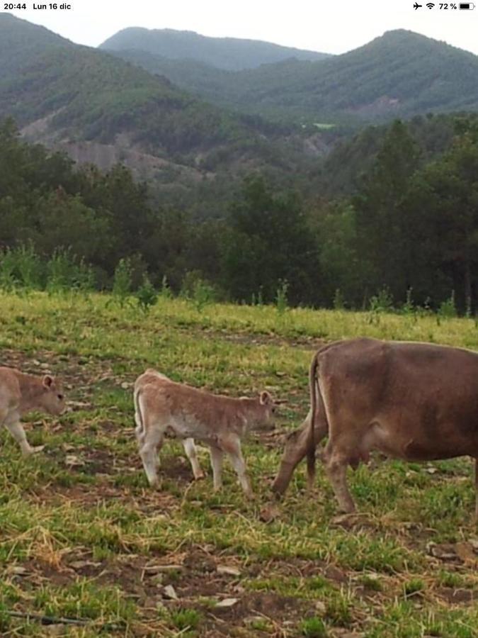 Vistas A La Montana En Un Pueblo Con Encanto. El Pueyo de Araguás Esterno foto