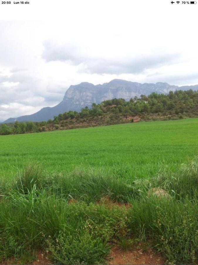 Vistas A La Montana En Un Pueblo Con Encanto. El Pueyo de Araguás Esterno foto