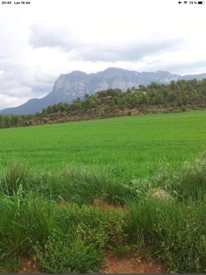 Vistas A La Montana En Un Pueblo Con Encanto. El Pueyo de Araguás Esterno foto